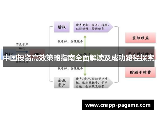 中国投资高效策略指南全面解读及成功路径探索