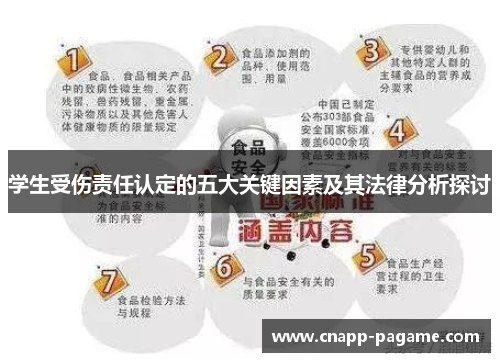 学生受伤责任认定的五大关键因素及其法律分析探讨