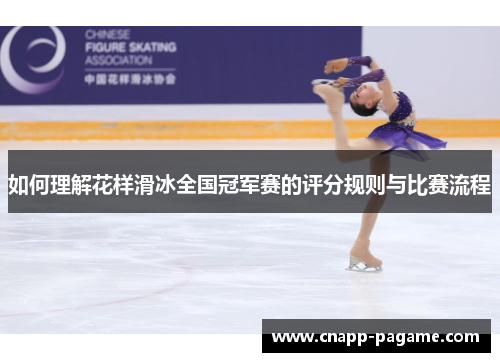 如何理解花样滑冰全国冠军赛的评分规则与比赛流程