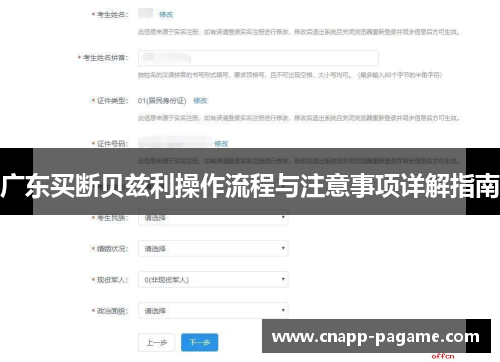 广东买断贝兹利操作流程与注意事项详解指南