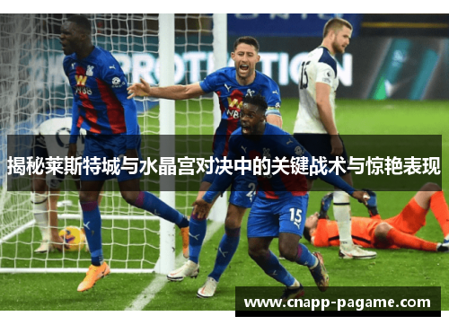 揭秘莱斯特城与水晶宫对决中的关键战术与惊艳表现