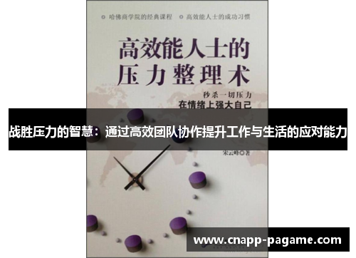 战胜压力的智慧：通过高效团队协作提升工作与生活的应对能力