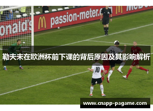 勒夫未在欧洲杯前下课的背后原因及其影响解析