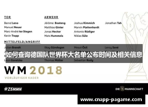 如何查询德国队世界杯大名单公布时间及相关信息