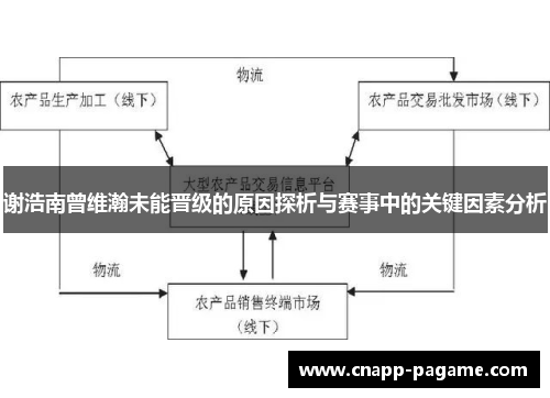 谢浩南曾维瀚未能晋级的原因探析与赛事中的关键因素分析