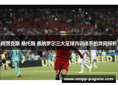 阿贾克斯 桑托斯 佩纳罗尔三大足球青训体系的异同探析