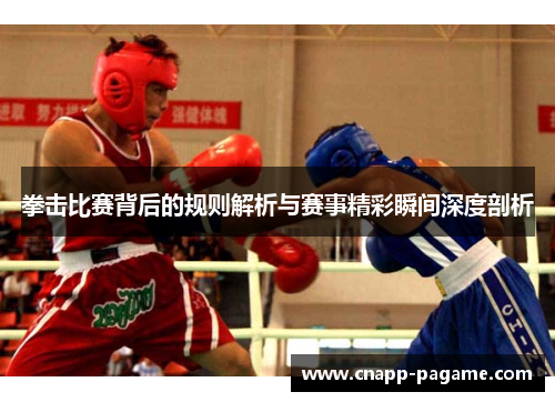 拳击比赛背后的规则解析与赛事精彩瞬间深度剖析 拳击比赛背后的规则解析与赛事精彩瞬间深度剖析