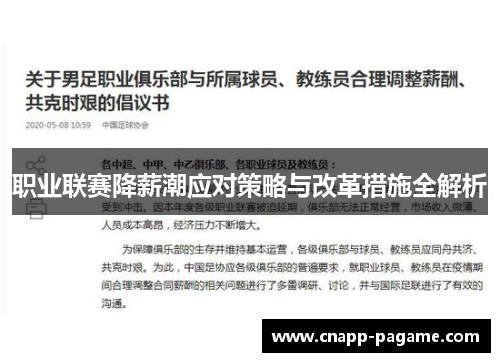 职业联赛降薪潮应对策略与改革措施全解析